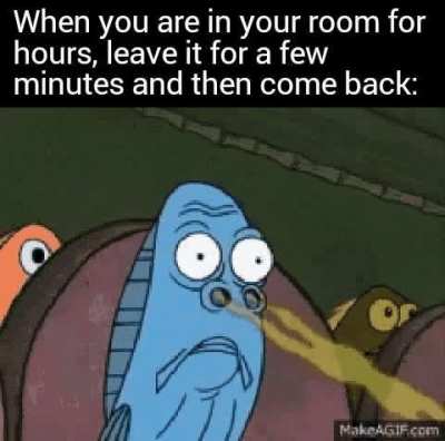 Maybe I am the stinker