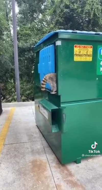 I'm catching it