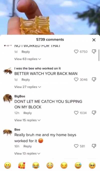 Bees rule