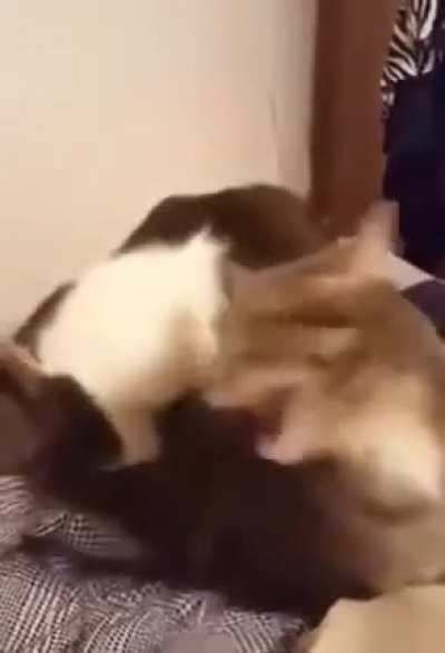 YOEW!