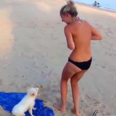 Good dog