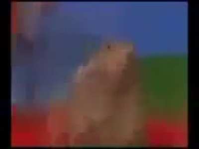 Shitpost el supremo