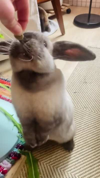 “Look at me, I aM A hUmAaAn”