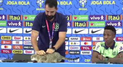 A cat invaded Vini&rsquo;s press conference