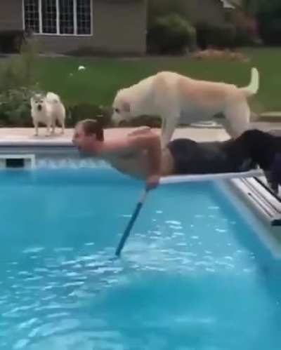 Does this count?