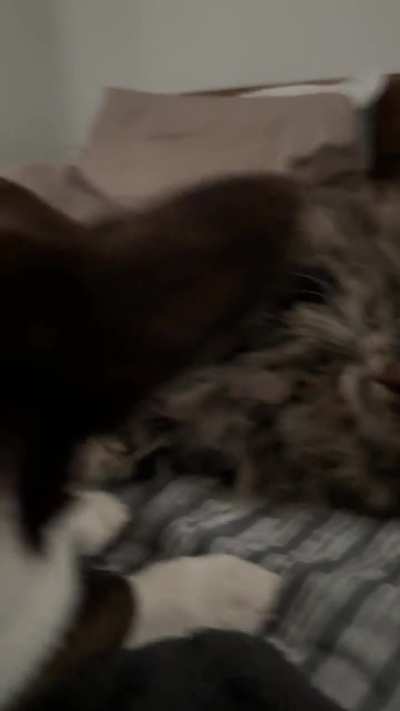 a &ldquo;nice&rdquo; moment of Lizzie and her sister