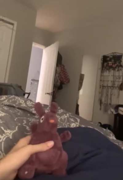 Here doggie doggie doggie