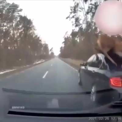 Deer crossing