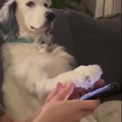 "We've talked about this"😂
