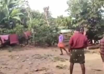 Elephant playing Cricket in Kerela 