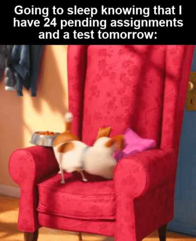 School amirite?