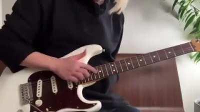 Guitar played using one finger only