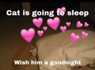 🥰