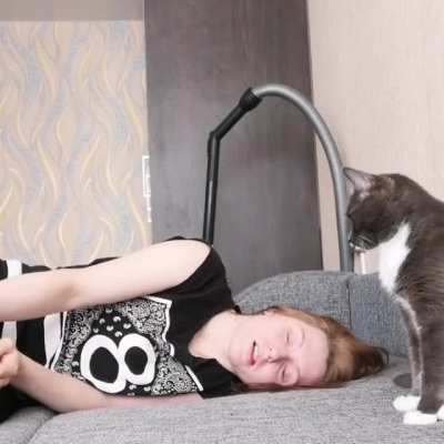 Dog: "Human has died. I will die too." Cat: