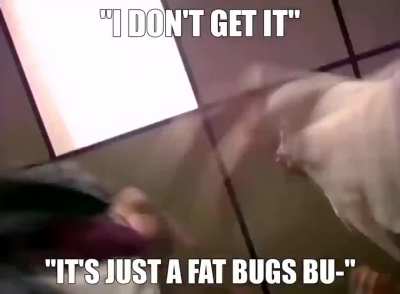 shitposting - Video #7934