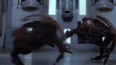 Qui-Gon tags the door