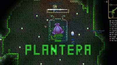 Plantera in a jar