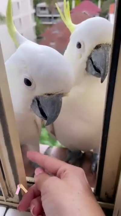 Let&rsquo;s hold hands