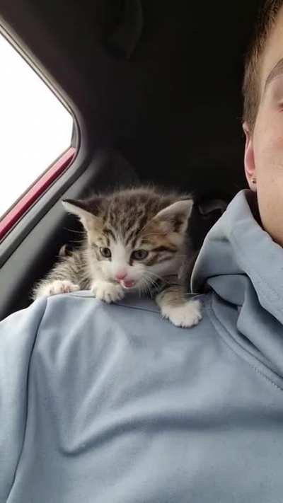 My new baby squeaks