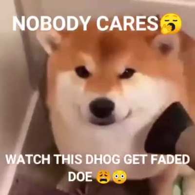 Tbh no one does🥱