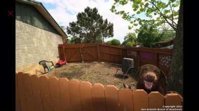 So, I&rsquo;m looking for a house and browsing through these pics and...