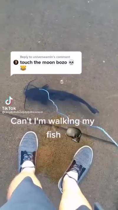 rule 🐠