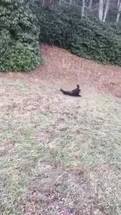 When you hear &ldquo;sniper get down &ldquo;