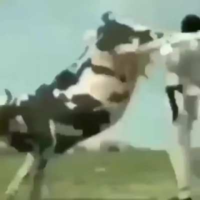 I see why farmers have a hard life now....
