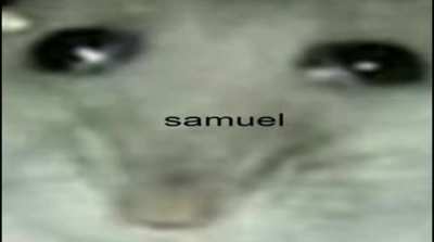 samuel 🐀