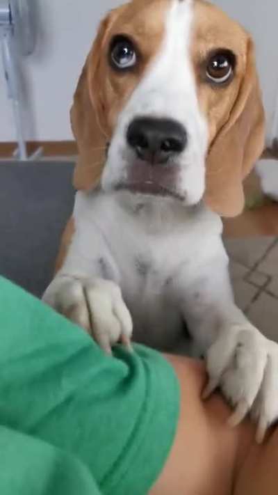 Somebody is hungry