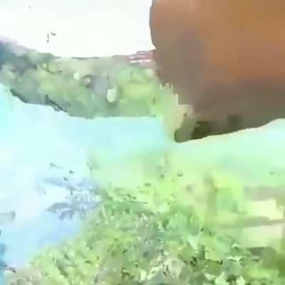 Tilt