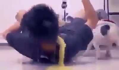Perro Troll