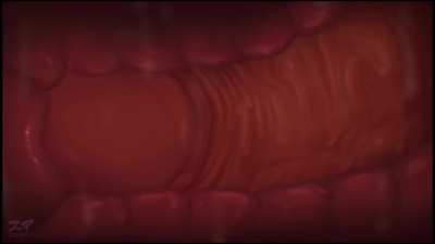 How I want my pussy to be filled