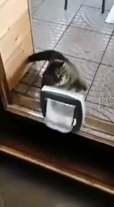 Does this count?