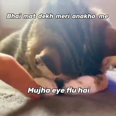Eye flu ho gya 