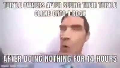 turtl