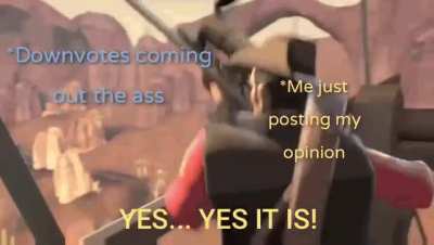 Meet the Memesuir