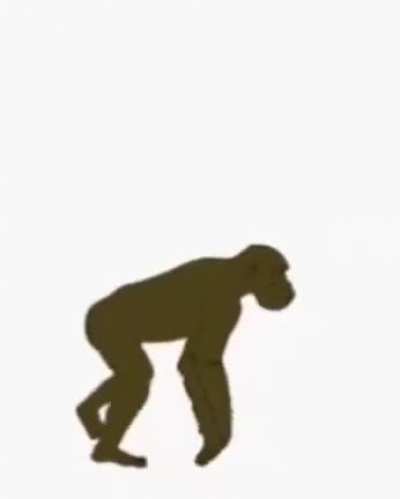 Evoluci&oacute;n peruana