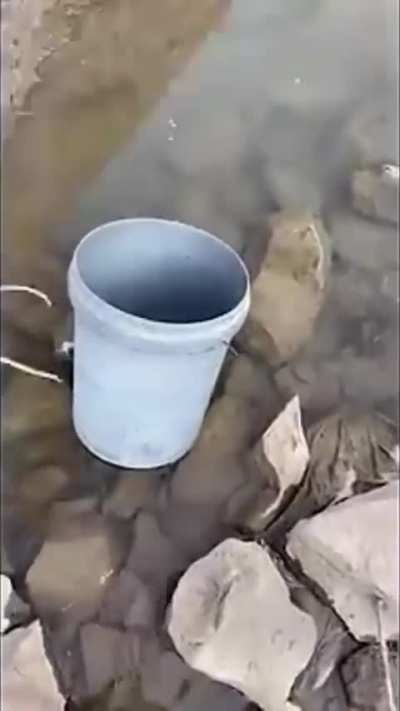 R&eacute;gis &agrave; la p&ecirc;che