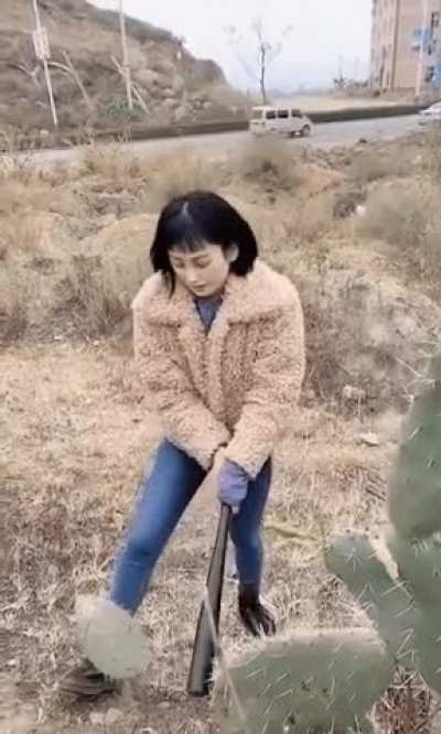 cactus-fu