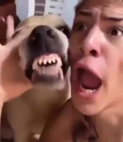 repost del bueno
