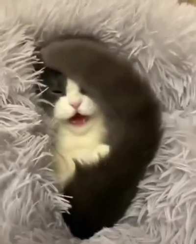 What a cutie!