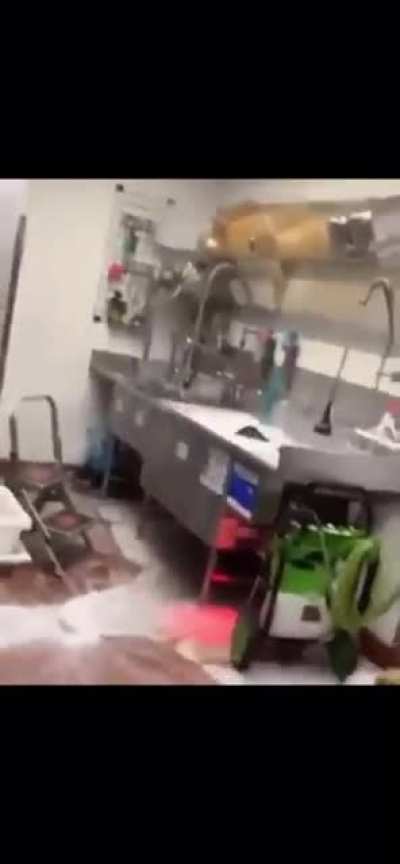 A supposed McDonald&rsquo;s employee jumping into the full sink