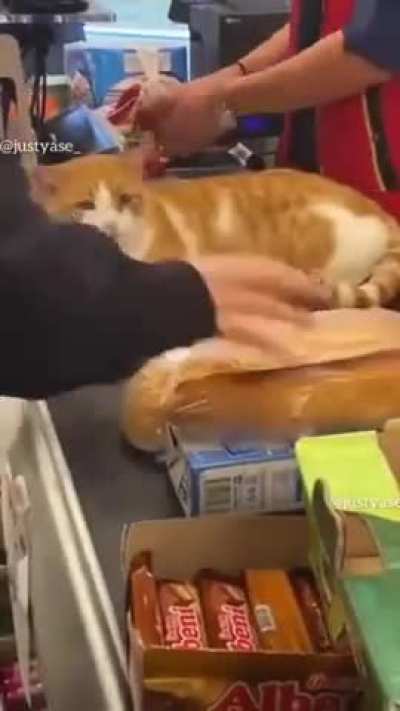 "Don't mind me"