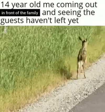 Abort mission