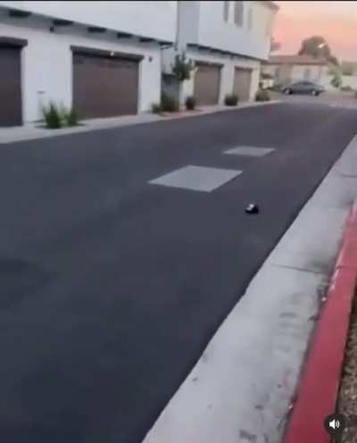 I feel like it belongs here