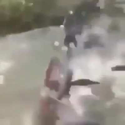 Fish stampede
