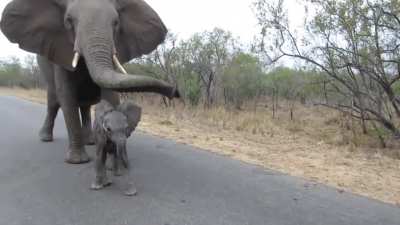 Didn't i tell you "stranger danger" ! Sorry mom 🐘