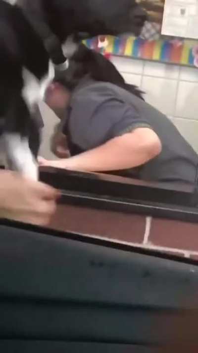 "But there is food in here." - Dog