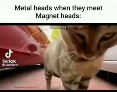 fuckin magnets how do they work